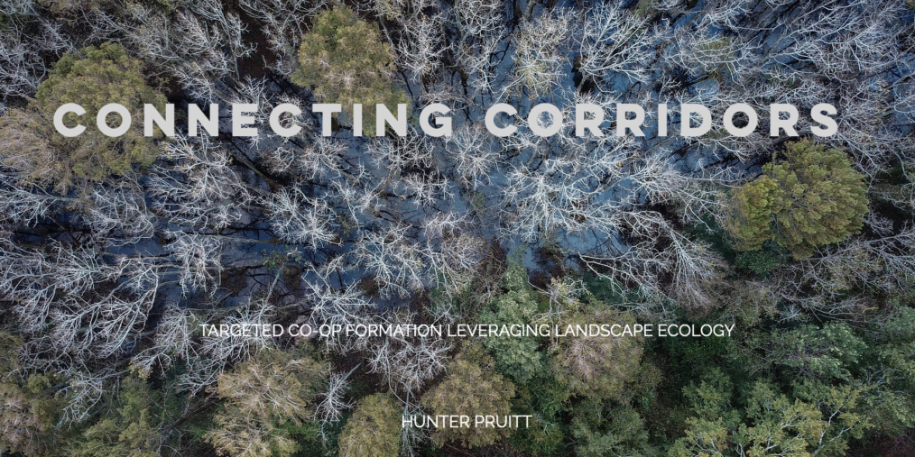 Connecting Corridors