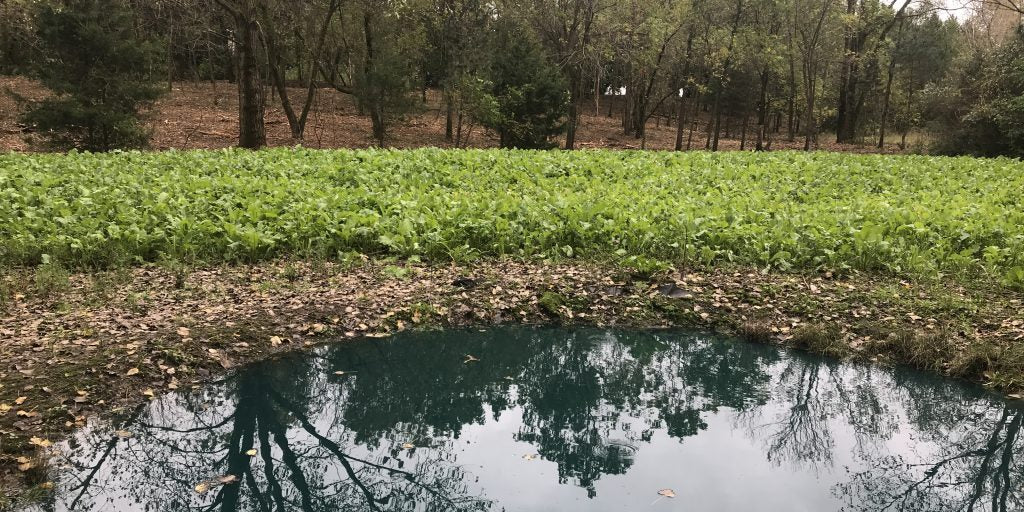 Quality Water for Quality Deer Hunting