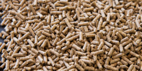 Should I Supplemental Feed?