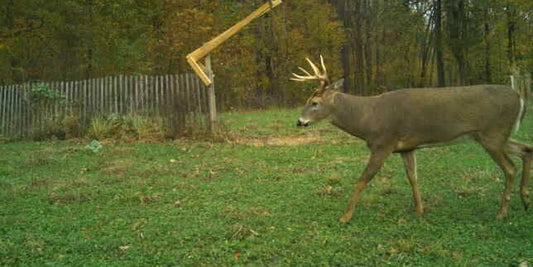 Buying Your First Whitetail Property