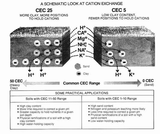 Soil Structure? Soil Health Friday
